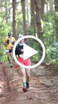 BIB:  <button type="button" onclick="openModal(26569753)" class="btn btn-primary btn-sm float-right" data-toggle="modal" data-target=".modal-high-quality">
                <i class="fa fa-download"></i> Download
                </button>